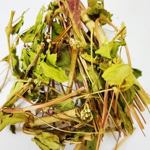 메밀잎/줄기 50g (Polygonum Fagopyrum (Buckwheat) Leaf/Stem) 국산-청주