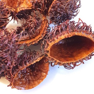 람부탄껍질(열매껍질) 50g (Nephelium Lappaceum Peel) 베트남