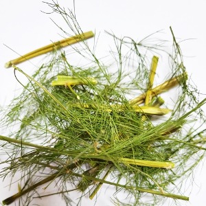 아스파라거스 잎/줄기 50g (Asparagus Officinalis Leaf/Stem) 국산-청주