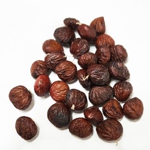 목련 열매 50g (Magnolia Kobus Fruit) 국산-천안