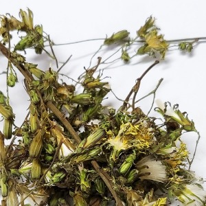 왕고들빼기 꽃 50g (Lactuca Indica Flower) 국산-청주