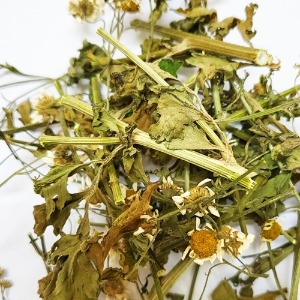 피버퓨(전초) 50g (Chrysanthemum Parthenium (Feverfew)) 국산-청주