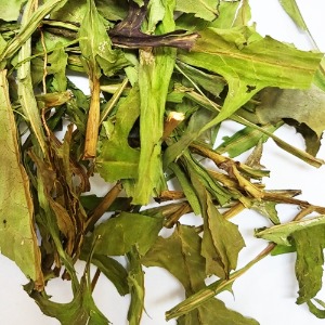 왕고들빼기 전초 50g (Lactuca Indica) 국산-청주