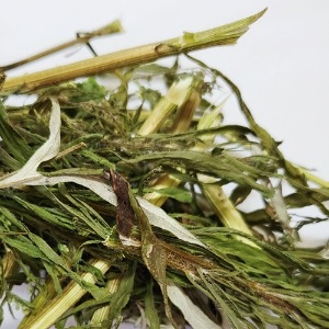 산쑥 전초 50g (Artemisia Montana) 국산-청주