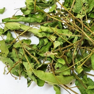 새팥 전초 50g (Phaseolus nipponensis Ohwi) 국산-청주