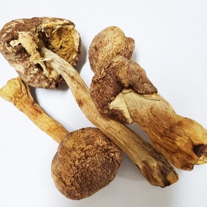 신령버섯(아가리쿠스) 50g (Agaricus Blazei (Mushroom)) 국산