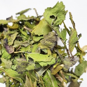 갓 싹 50g (Brassica Juncea Sprout) 국산-청주