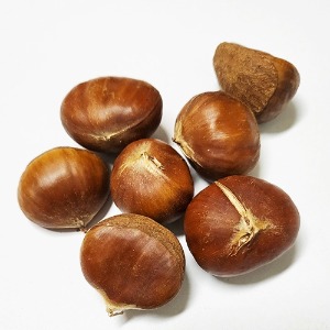 밤나무 열매 50g (Castanea  Crenata Fruit) 국산-공주