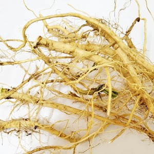 갓뿌리 50g (Brassica Juncea Root) 국산-청주