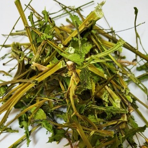 갓 전초 50g (Brassica Juncea Flower/Leaf/Stem) 국산-청주