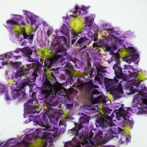 당아욱꽃 50g (Malva Sylvestris (Mallow) Flower) 국산-청주