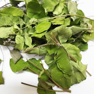 싸리나무잎50g (Lespedeza Bicolor Leaf) 국산-청주