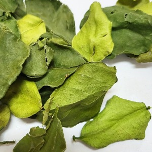 라임잎 50g (Citrus Aurantifolia (Lime) Leaf) 국산-제주