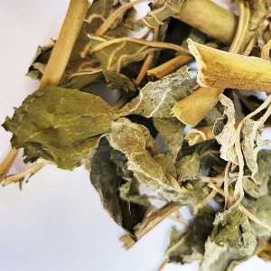 독말풀잎 50g (Datura Stramonium Leaf) 국산-청주
