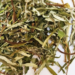물쑥 전초 50g (	Artemisia selengensis Turcz) 국산
