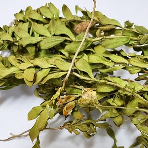 해란초(전초) 50g (Linaria Japonica) 국산-안면도