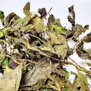 다래잎 50g (Actinidia Arguta Leaf) 국산-청주