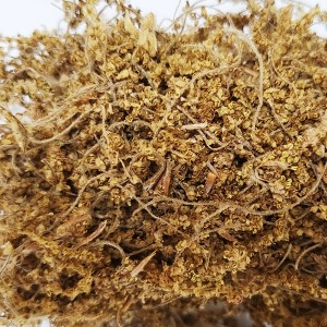 참나무꽃 50g (Oak Flower) 국산-청주
