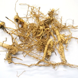 참억새뿌리 50g (Miscanthus Sinensis) 국산-청주