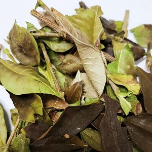 치자나무잎/줄기 50g (Gardenia Jasminoides Leaf/Stem) 국산-청주