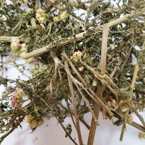 서양톱풀꽃/잎/줄기(야로우) 50g (Achillea Millefolium Flower/Leaf/Stem) 국산-청주