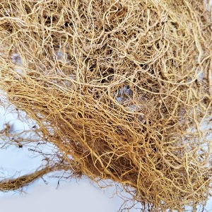 디기탈리스뿌리 50g (Digitalis purpurea L. Root) 국산-청주