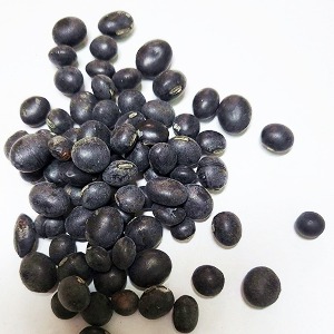 검정콩(서리태, 검은콩) 50g (Glycine Max (Black Soybean) Seed) 국산