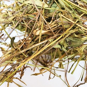 질경이잎/줄기 50g (Plantago Asiatica Leaf/Stem) 국산-청주