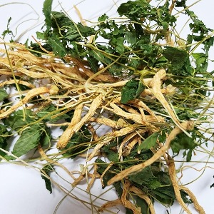 인삼싹 50g (Panax Ginseng Sprout) 국산-청주