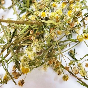 개망초꽃 50g (Erigeron Annuus Flower) 국산-태안