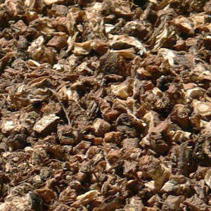 서양민들레뿌리 1kg (Taraxacum Officinale (Dandelion) Root) 중국
