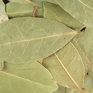 월계수 잎(홀) 1kg (Laurus Nobilis Leaf (Bay leaf whole) - 로렐) 튀르키예(터키)산